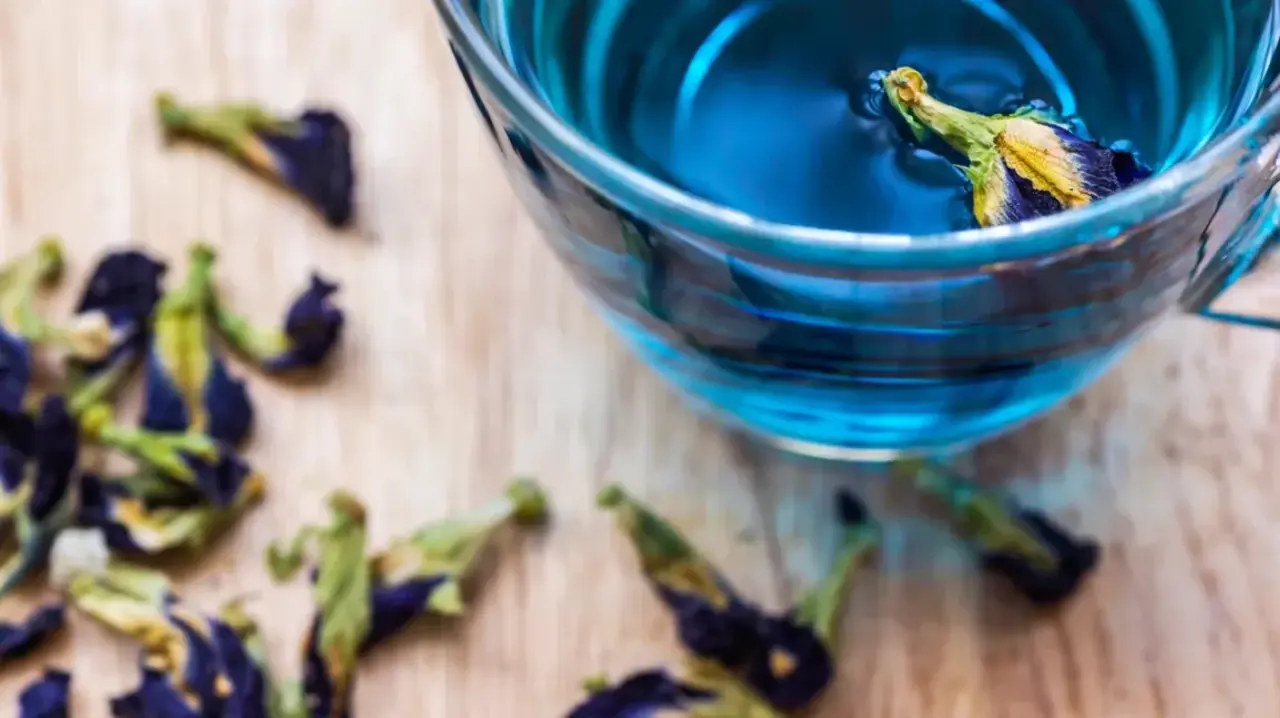 What is the butterfly flower tea and does it help with weight loss?